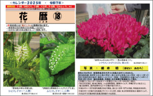 2025年カレンダー